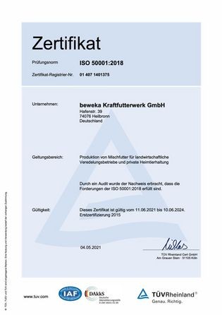 ISO 50001:2018 - 2021_2024
